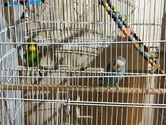 -舌尖上的食缘花园主题餐厅