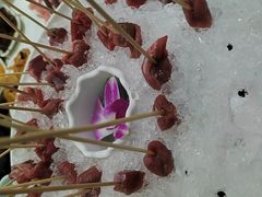 -草原传奇鲜羊火锅(桥北店)