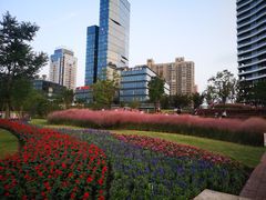 -北外滩滨江绿地