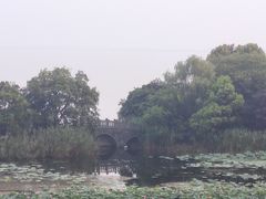 -上海市保健医疗中心