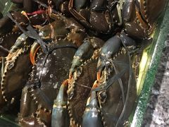 -Isla Sugbu Seafood City