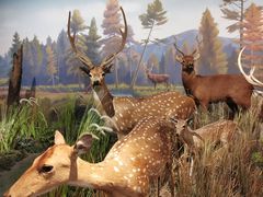 -陕西自然博物馆