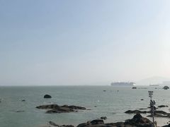 -猫咪博物馆(顶澳仔猫街店)