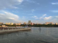-莲花池公园