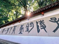 -严子陵钓台(富春江小三峡)