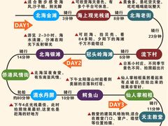 -贝壳沙滩