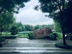 -陈家山荷花公园