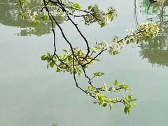 -东钱湖小普陀景区