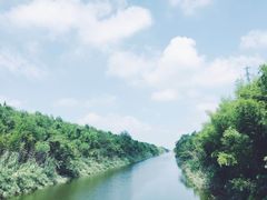 -黄海国家森林公园