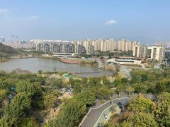 -飞凤山奥体公园