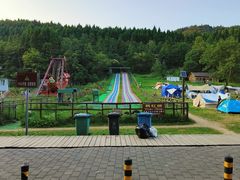 -武陵山森林公园