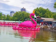 -莲花池公园