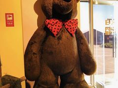 -济州岛泰迪熊博物馆