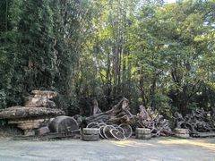 -云南勐巴娜西珍奇园
