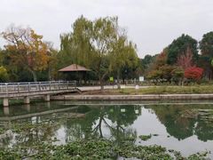 -阳澄湖半岛旅游度假区