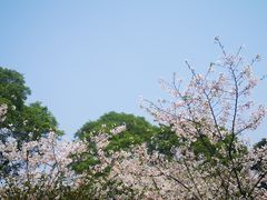 -南山植物园