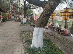 -成都市活水公园
