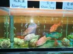-国际金钻海鲜餐厅
