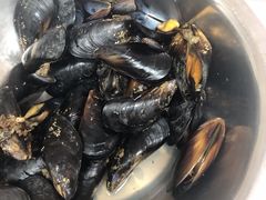 -宾朋海鲜特色美食餐厅·纯手工鲅鱼水饺(兴海路店)