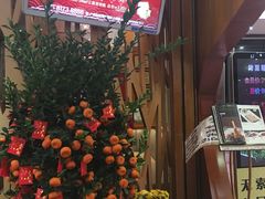 -新兴·金羊座·粤菜点心(乐峰店)
