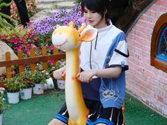 -荷兰花海