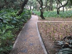 -黄埔荔枝公园