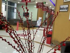 -雅悦齿科(顾村公园店)