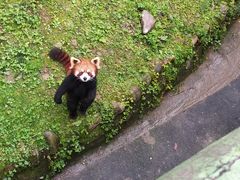 -西安秦岭野生动物园