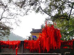 -涂山寺素食餐厅