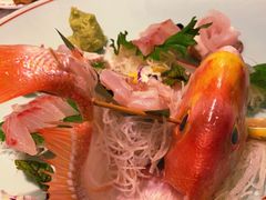 -天正河鲀·河豚亭(大连店)