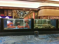 -小榄人家酒楼(民安店)