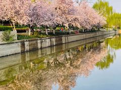 -海棠花溪(元大都城垣遗址公园)