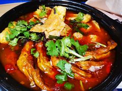 -老表记广西宵夜螺蛳鸭脚煲(西大店)