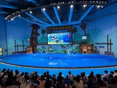 -石家庄极地海洋世界