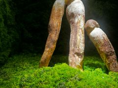 -芸山季·云南野生菌火锅(宝能环球汇店)