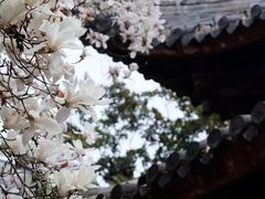 -龙华寺