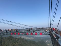 -梦幻奥陶纪景区