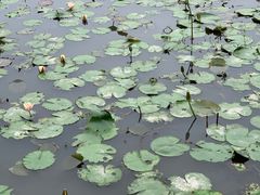 -漩门湾国家湿地公园