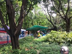 -晓港公园