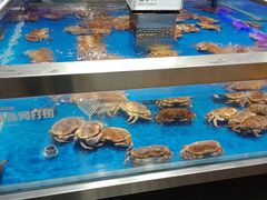 面包蟹-盒马鲜生(顺义店)