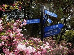 -上海虹桥迎宾馆