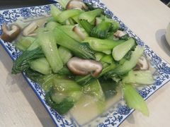 -横店影视城梦幻谷园区
