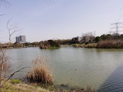 -九里河湿地公园