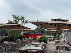 -扬州狮子楼·非遗淮扬菜(东关街店)