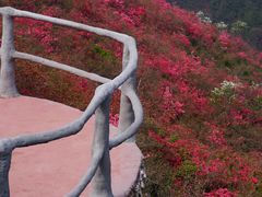 -木兰云雾山