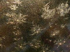 -金水鹤温泉国际酒店