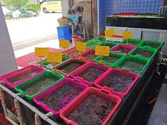 -众味海鲜大排档·活海鲜·潮汕味(南澳店)