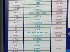 -菊园百果园