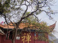 -抚仙湖禄充风景区