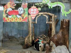 -海南热带野生动植物园